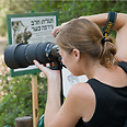 צילום: רועי גליץ