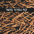 עטיפת הספר