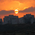 צילום: גיל פנקס