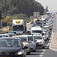צילום: עידו ארז