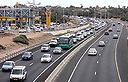 צילום: עידו ארז)