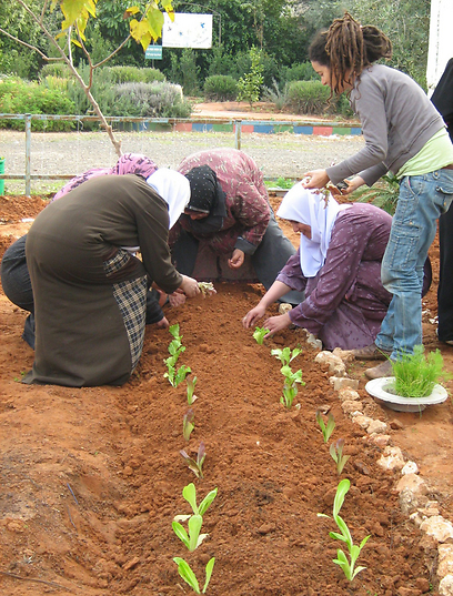 נשים ותלמידות בפרוייקט אלזהראא  (צילום: ארגון חיים וסביבה)