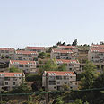 צילום: גיל יוחנן