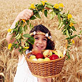 צילום: shutterstock