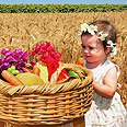 צילום: shutterstock