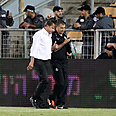 צילום: גיל נחושתן