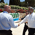 אוהד צויגנברג