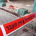 צילום: עידו ארז