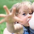 צילום: shutterstock