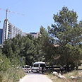 צילום: גיל יוחנן