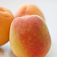 צילום: מיכל וקסמן