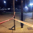 צילום: מוטי קמחי