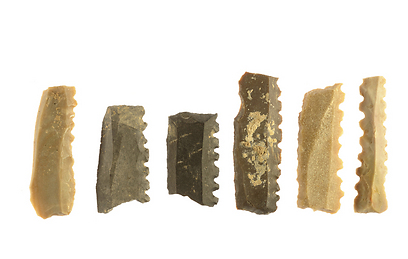 כלי הצור שנחשפו במהלך החפירה (צילום: קלרה עמית, רשות העתיקות)