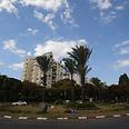 צילום: ירון ברנר צילום: ירון ברנר