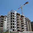 צילום: ענר גרין, ידיעות אחרונות צילום: ענר גרין, ידיעות אחרונות