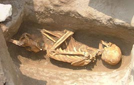 שלד שהתגלה בחפירות ארכיאולוגיות ביפו