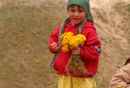 קוטפת הפרחים