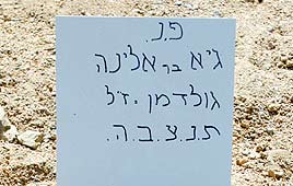 קברו של גיא גולדמן שנפטר לאחר אכילת רמדיה צימחית