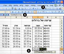 סכום אוטומטי