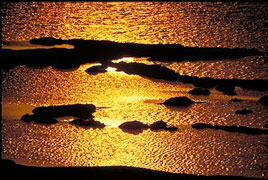 שקיעה זהובה