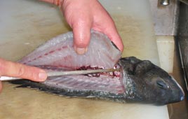 הפרידה בתהליכי פירוק