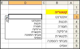 עיצוב מותנה באקסל