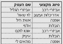 תצוגות מותאמות אישית באקסל