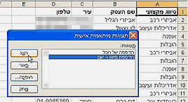 תצוגות מותאמות אישית באקסל