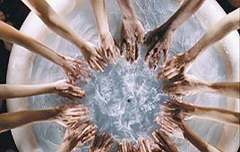 פרסומת החודש נקה