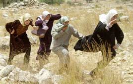 פלסטינים צה