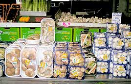 פטריות בשוק הכרמל