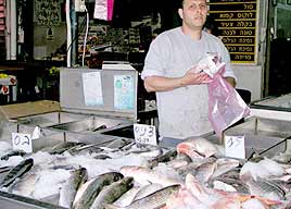 דוכן הדגים של דרור