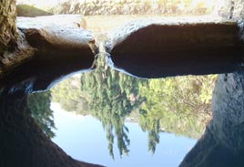 עין משוטטים 