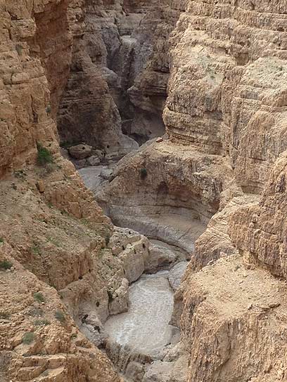 שיטפון במדבר יהודה (צילום: רונן דבורה) שיטפון במדבר יהודה (צילום: רונן דבורה)