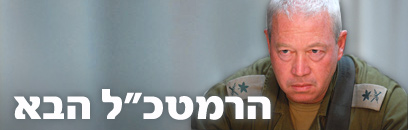 צילום: אמיר כהן