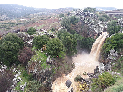 נחל דן (צילום: יוסי ניבין) נחל דן (צילום: יוסי ניבין)