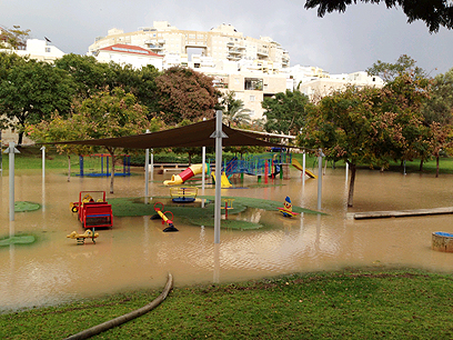 מודיעין (צילום: מיכאל זץ) מודיעין (צילום: מיכאל זץ)