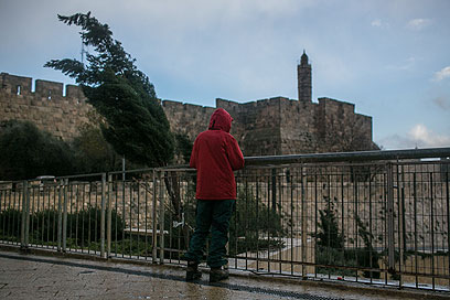 ירושלים (צילום: אוהד צויגנברג) ירושלים (צילום: אוהד צויגנברג)