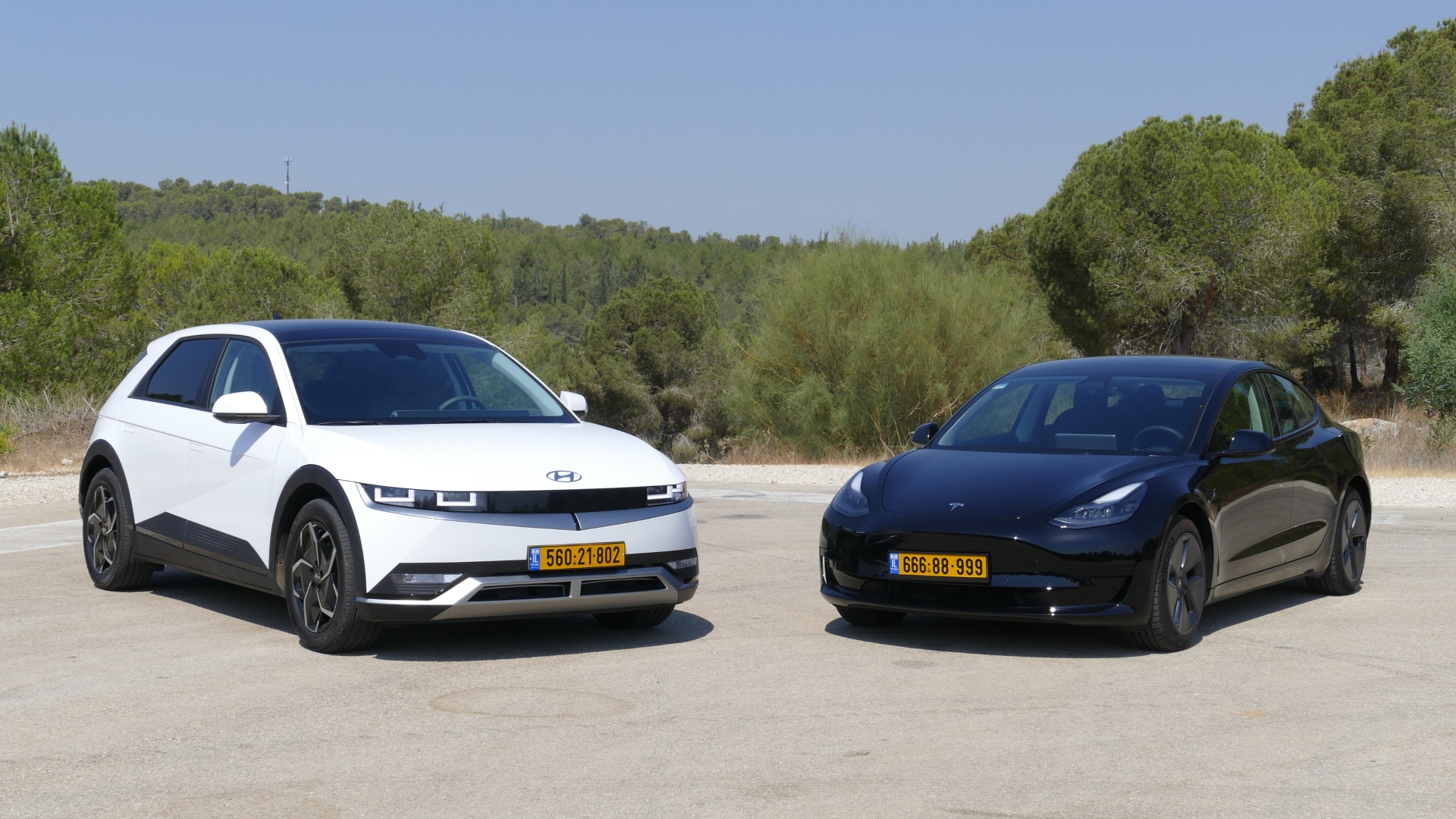 צילום: ניר בן זקן