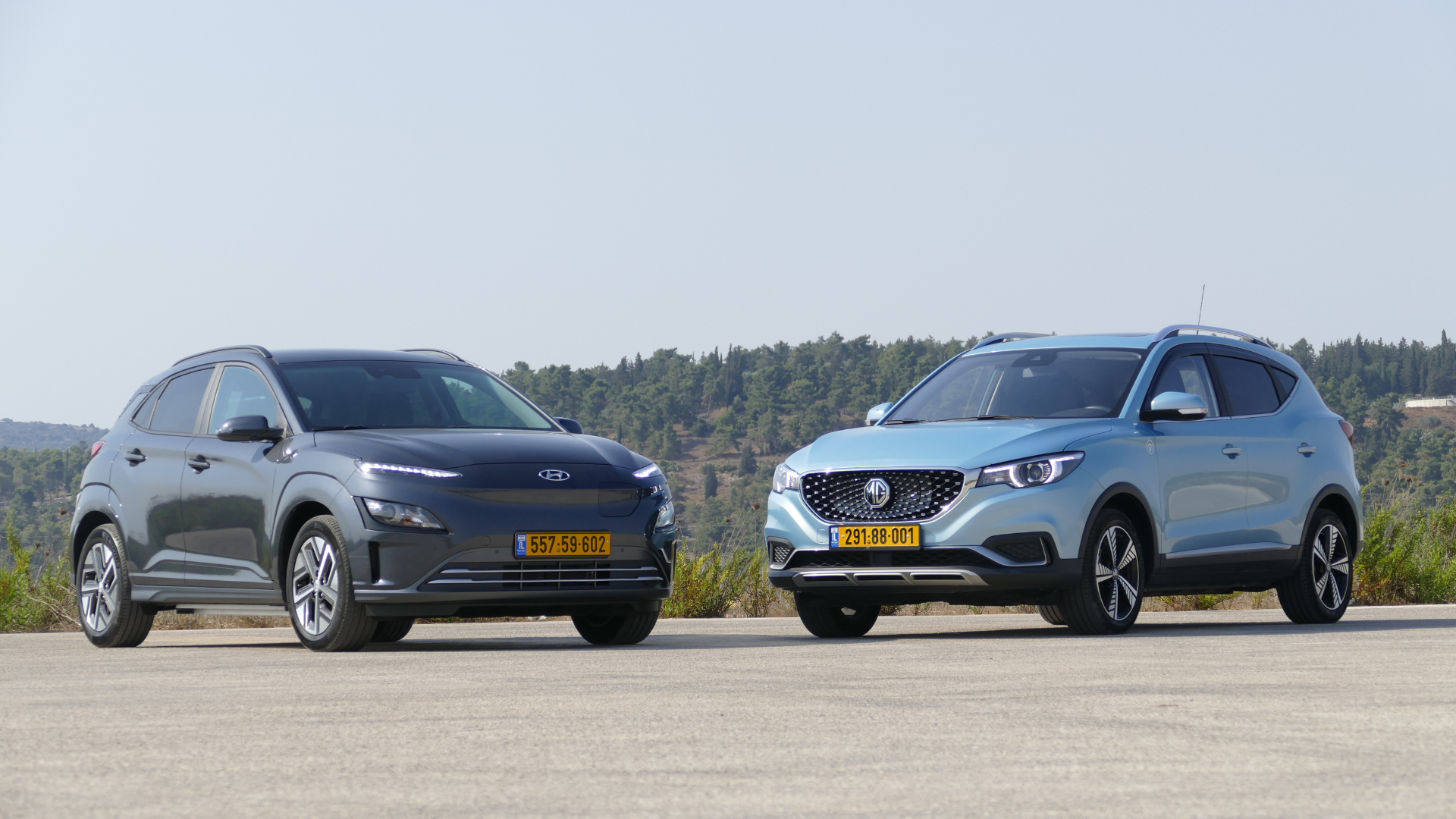 צילום: ניר בן זקן