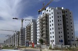 צילום: עמית שעל