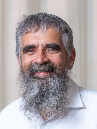 תמונה כללית