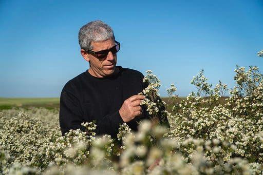 צילום: ניצן אשוח