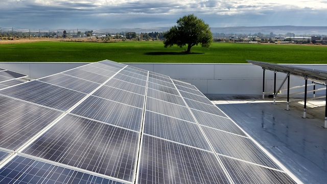 צילום: shutterstock