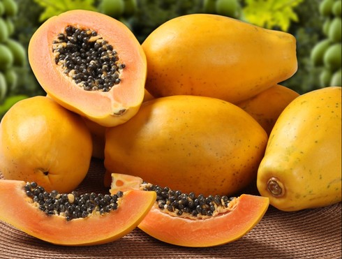 תמונה כללית