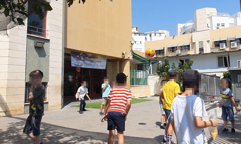 תמונה כללית