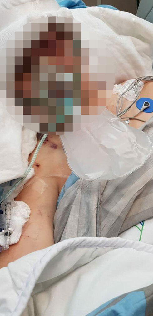 תמונה כללית