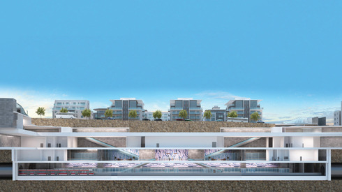 צילום: נת צילום: נת