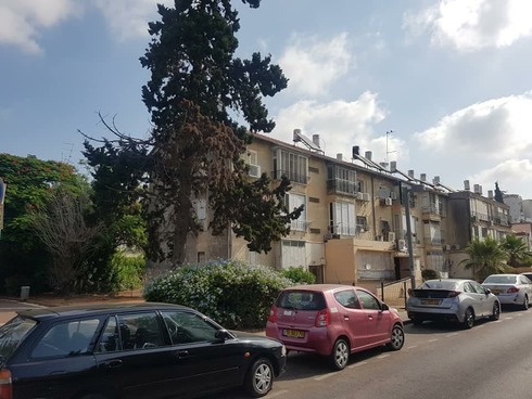 צילום: יח צילום: יח