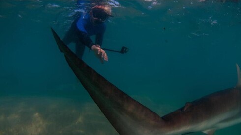 Фото: Ран Голан Фото: Ран Голан